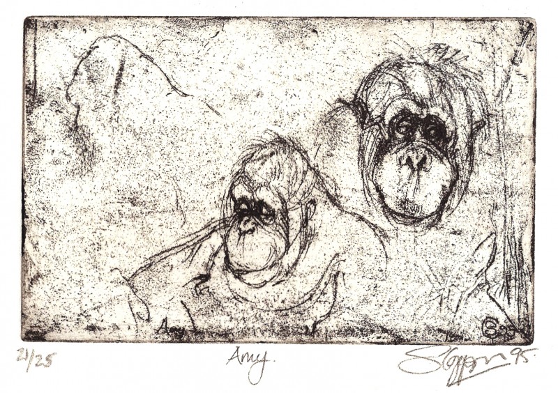 ... Amy ... (Click to enlarge)