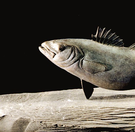 Photo by Richard Greenly (Click to enlarge)