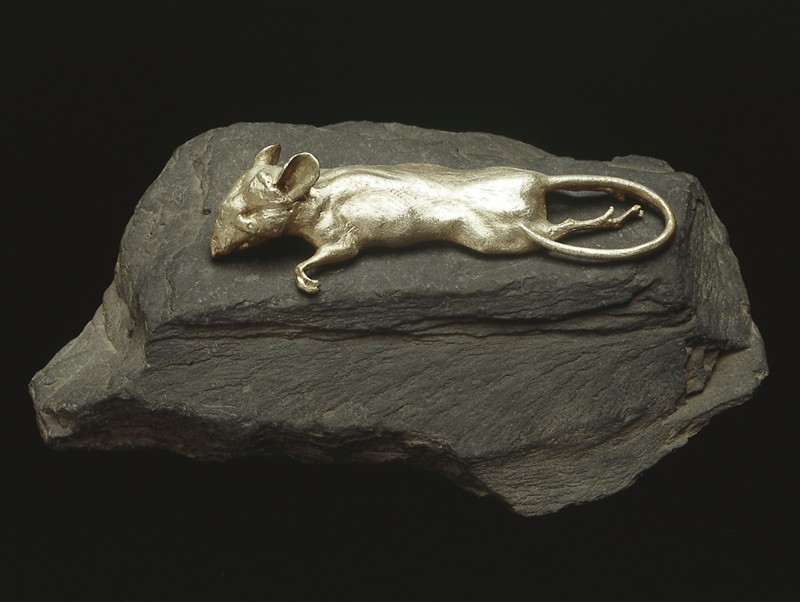 Photo by Richard Greenly (Click to enlarge)