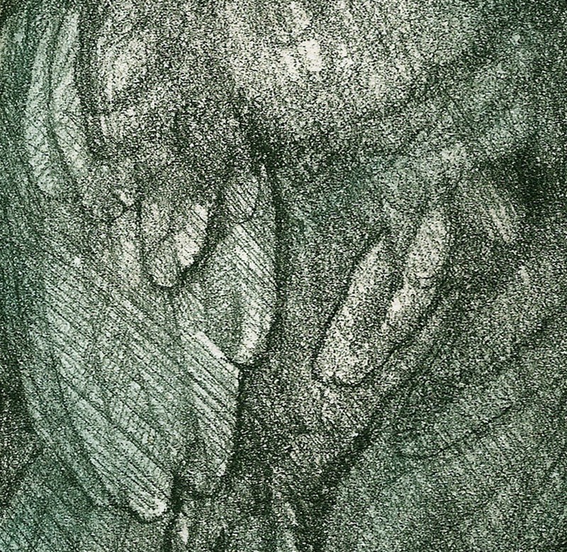 ... study of an exquisite rook ...  (Click to enlarge)