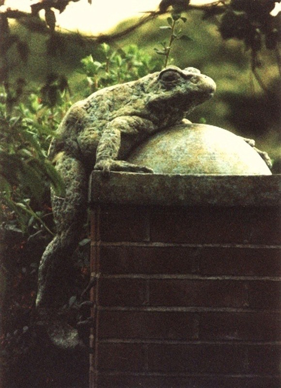 ...nearly five times life size ... (Click to enlarge)