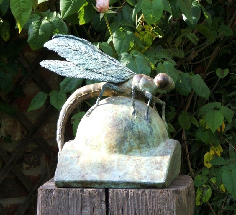 ... a sleepy Dragonfly ...  (Click to enlarge)