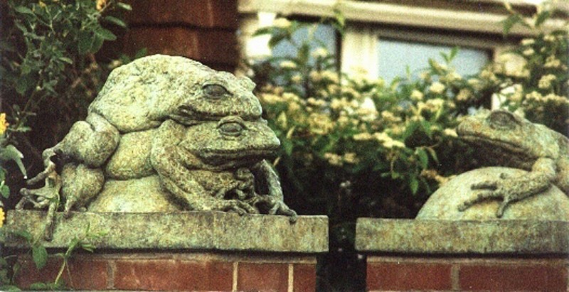 ... of a long and happy marriage ... (Click to enlarge)