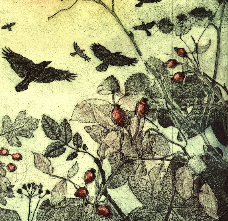 ... rampaging rooks ... (Click to enlarge)