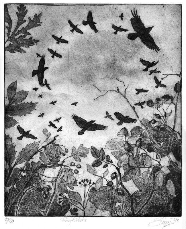 ... rampaging rooks ... (Click to enlarge)