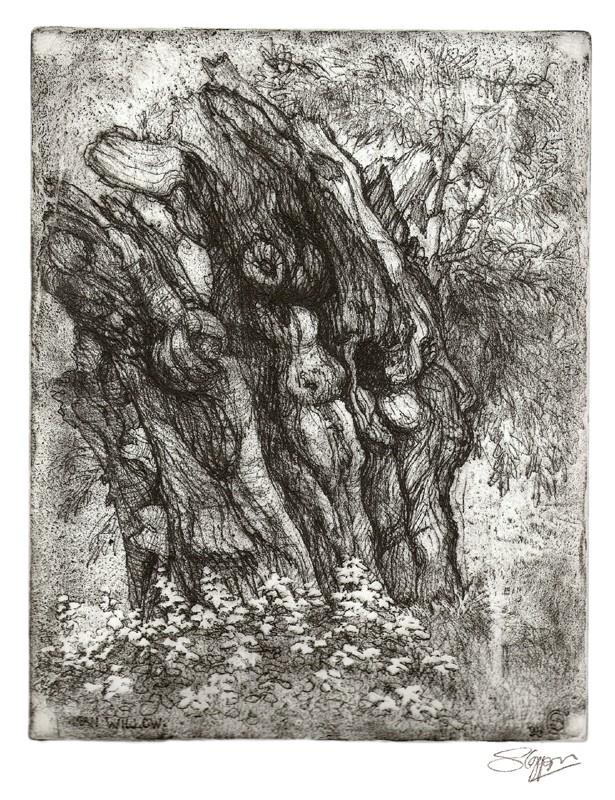 ... a study of an old friend who lived by the river ... (Click to enlarge)