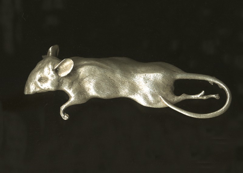 ... a gift from the cat ... (Click to enlarge)