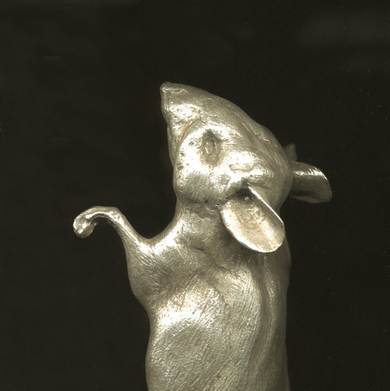 ... a gift from the cat ... (Click to enlarge)