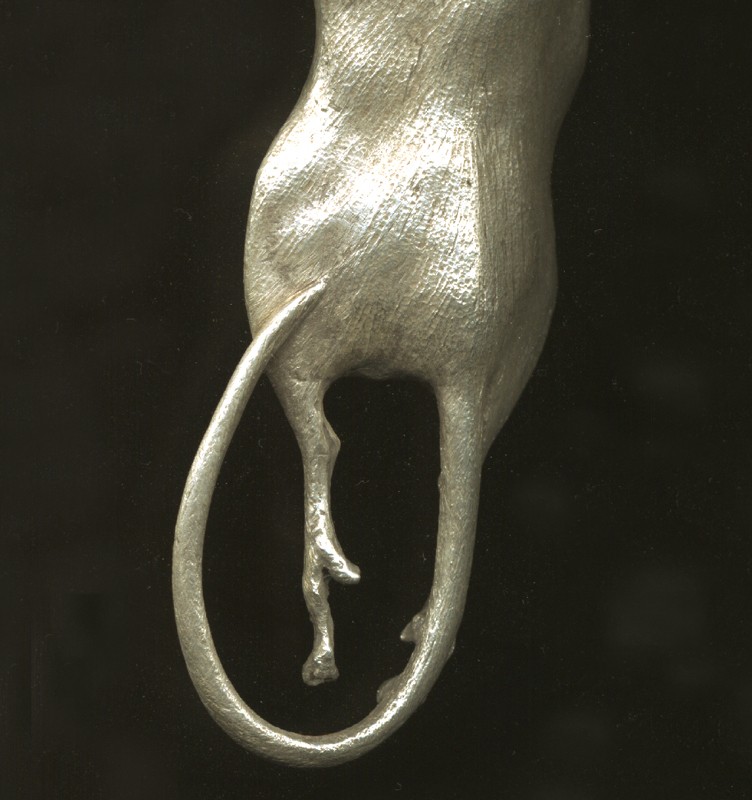 ... a gift from the cat ... (Click to enlarge)