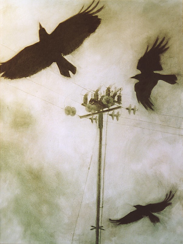 ... the rooks are so mysterious ... (Click to enlarge)