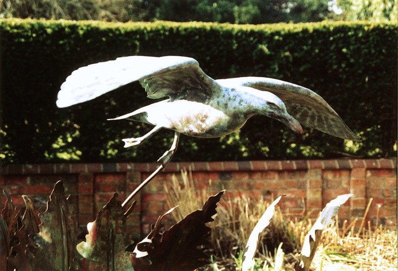 ... a water feature with fern fronds from the Downs … (Click to enlarge)