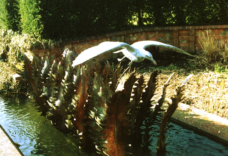 ... a water feature with fern fronds from the Downs … (Click to enlarge)