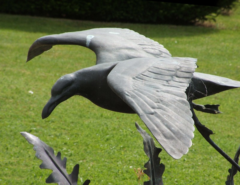 ... a water feature with fern fronds from the Downs … (Click to enlarge)