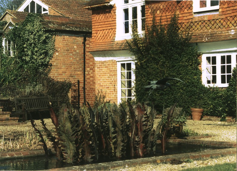 ... a water feature with fern fronds from the Downs … (Click to enlarge)