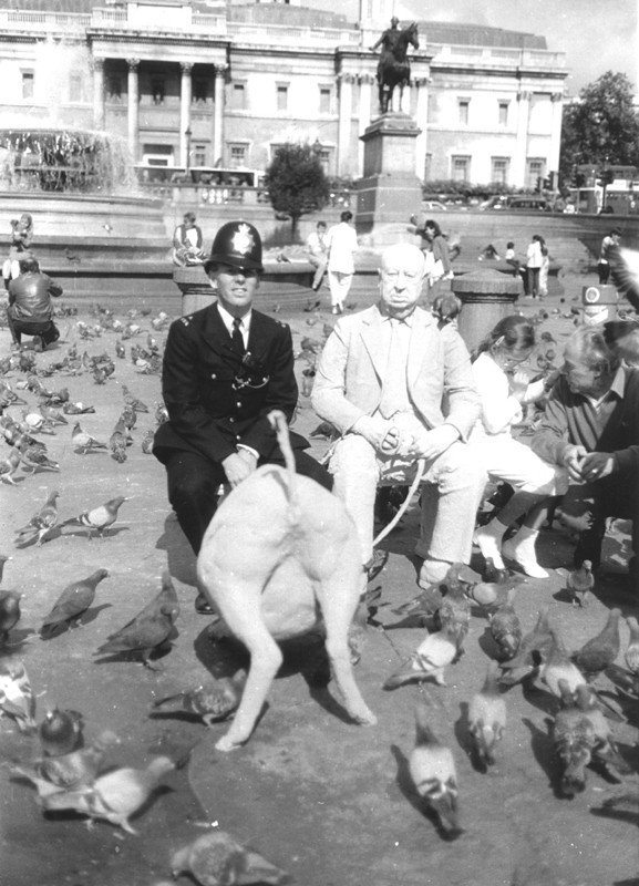 ... Trafalgar Square, London...                                          (Click to enlarge)