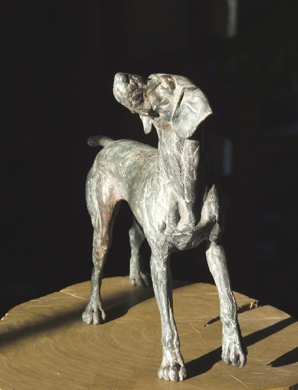  an old friend   (Click to enlarge)