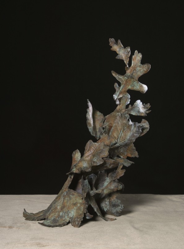 ... when the wind blows - it can leave you in a spin … (Click to enlarge)