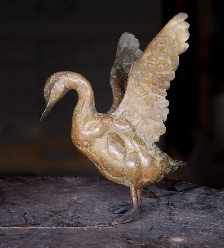 Flappa Duck … always in a flibberty dither … (Click to enlarge)