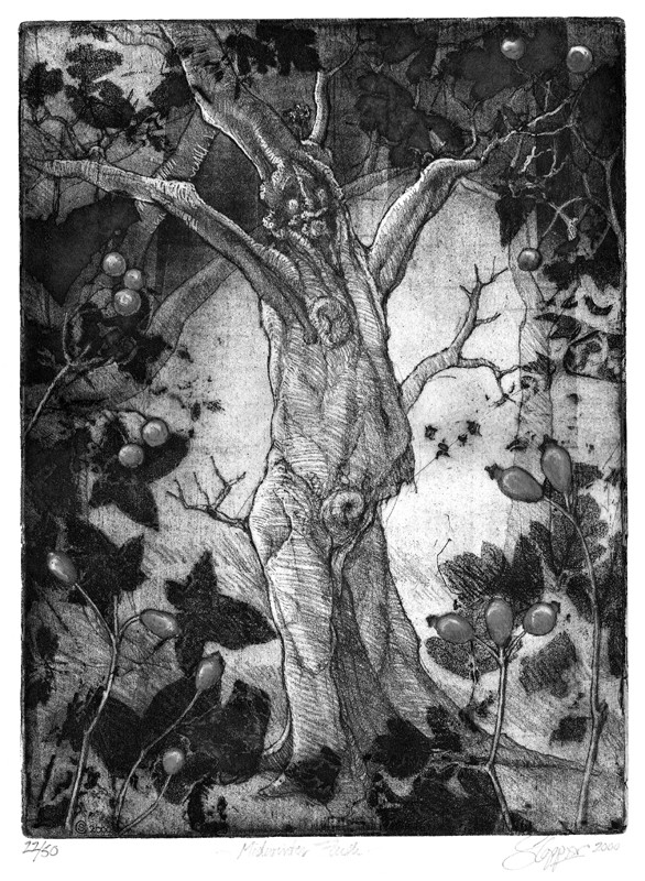 ... a lark in the naked wet woods … (Click to enlarge)