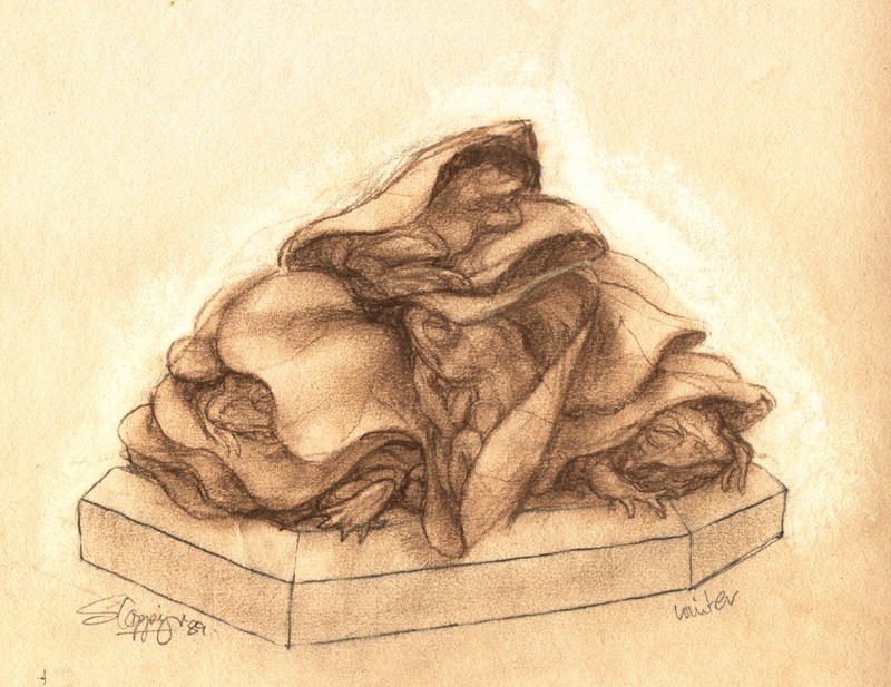 ... sleepy winter frogs ... (Click to enlarge)