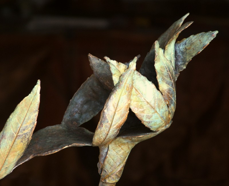 ... a quiet footfall in the woods ...  (Click to enlarge)