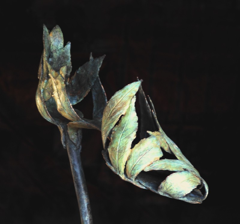 ... a quiet footfall in the woods ...  (Click to enlarge)