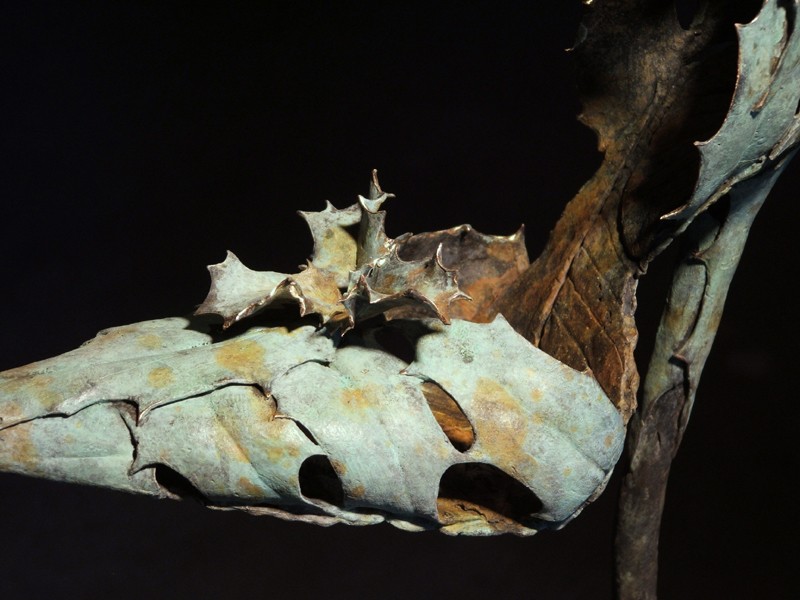 ... this shoe... leaves no doubt about its attitude! ... (Click to enlarge)