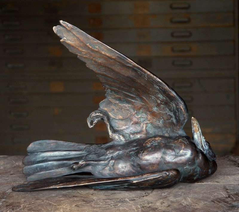  an arresting point of view   (Click to enlarge)