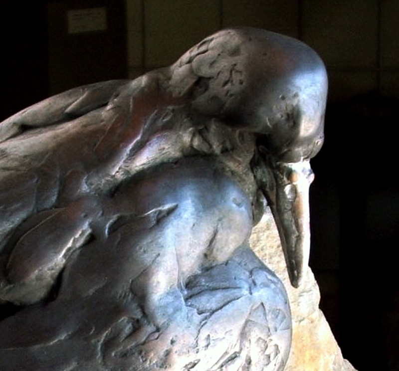  an arresting point of view   (Click to enlarge)