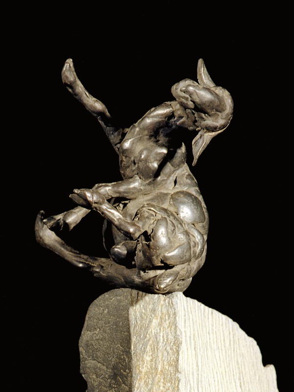 ... a sheep on the edge? ...  photo by Richard Greenly            (Click to enlarge)