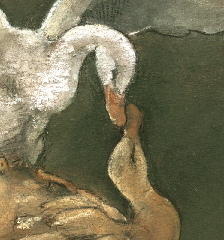 ... a gaggle of ducks ...  (Click to enlarge)