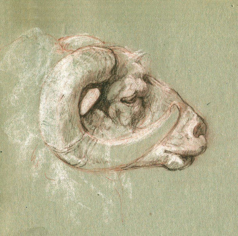 … a pet ram called Charlie … (Click to enlarge)