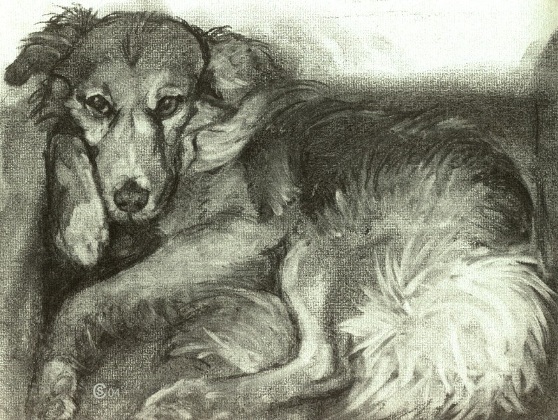 … a foxy little dog ... (Click to enlarge)