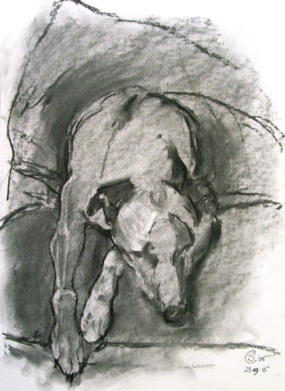 ... tinker asleep ... (Click to enlarge)