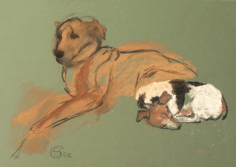 ... dog mates ... (Click to enlarge)