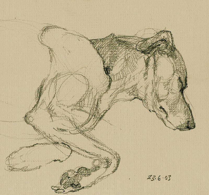 ... tinker dream ... (Click to enlarge)