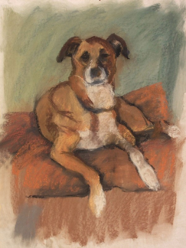 ... dog day ... (Click to enlarge)