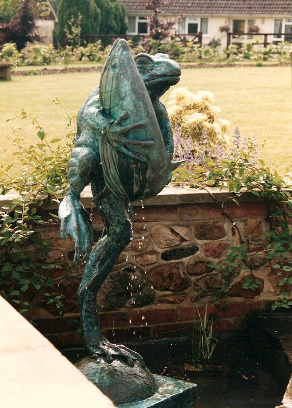 ... frogs have been found ‘hugging’ all kinds of creatures … including fish … (Click to enlarge)