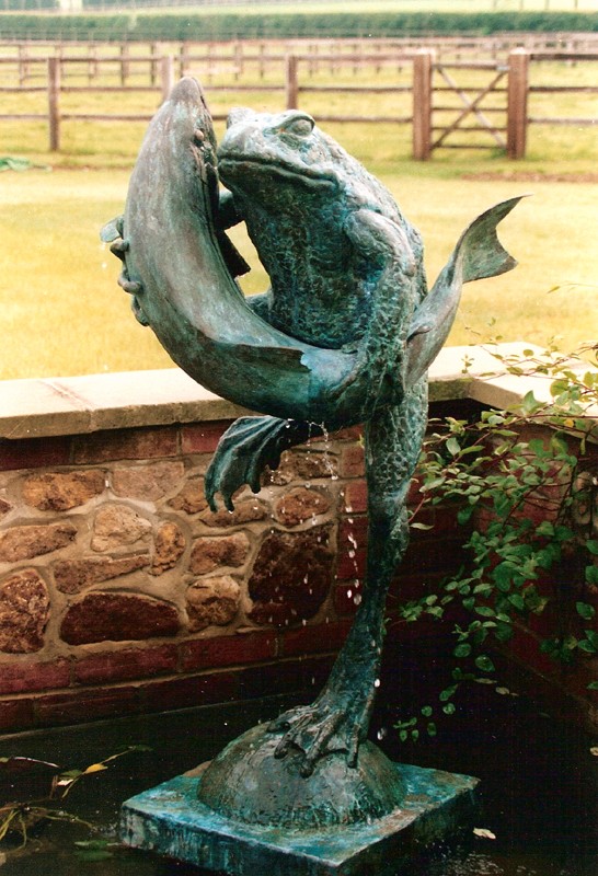 ... frogs have been found ‘hugging’ all kinds of creatures … including fish … (Click to enlarge)