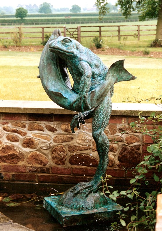 ... frogs have been found ‘hugging’ all kinds of creatures … including fish … (Click to enlarge)