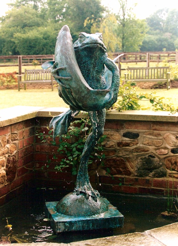 ... frogs have been found ‘hugging’ all kinds of creatures … including fish … (Click to enlarge)