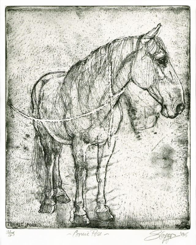 ... a great hunter and a gentleman ...  (Click to enlarge)