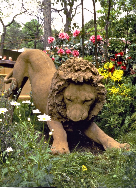 ... truant lion ... (Click here to enlarge)