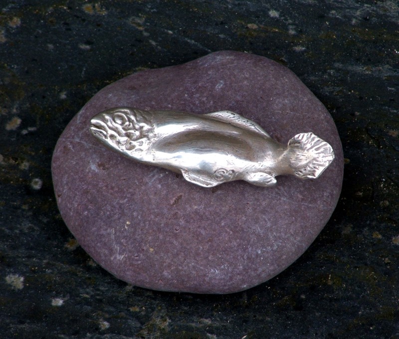 … a silvery salmon all slippery and shiny … (Click to enlarge)