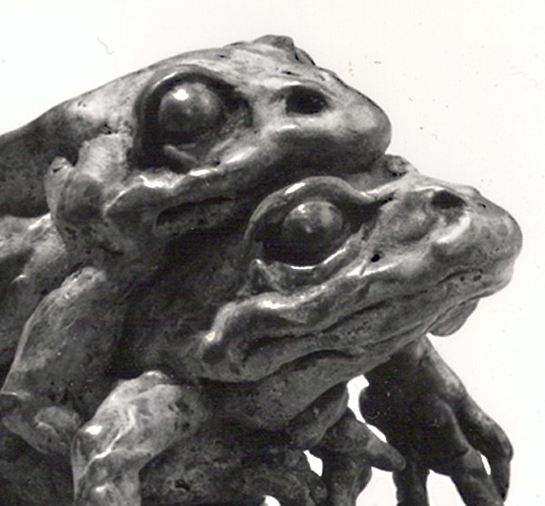 Photo by Llewellyn Robins (Click to enlarge)