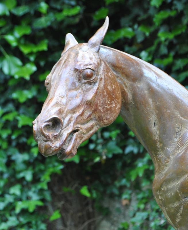 A racehorse is standing being washed down on a cold October morning. The cold water comes as a shock!