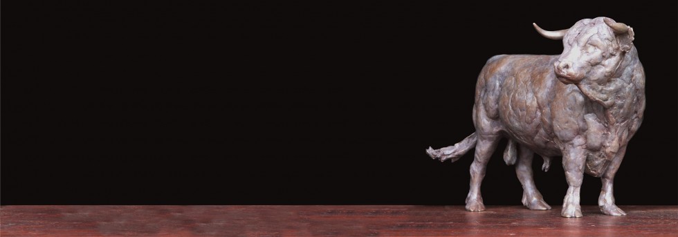 Sioban Coppinger slider image 3