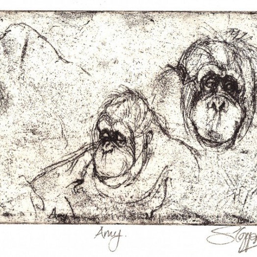 ... Amy ...  (Click to enlarge)