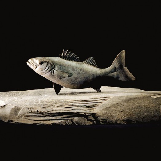 Photo by Richard Greenly (Click to enlarge)