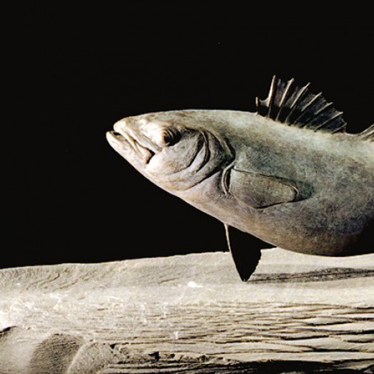 Photo by Richard Greenly (Click to enlarge)